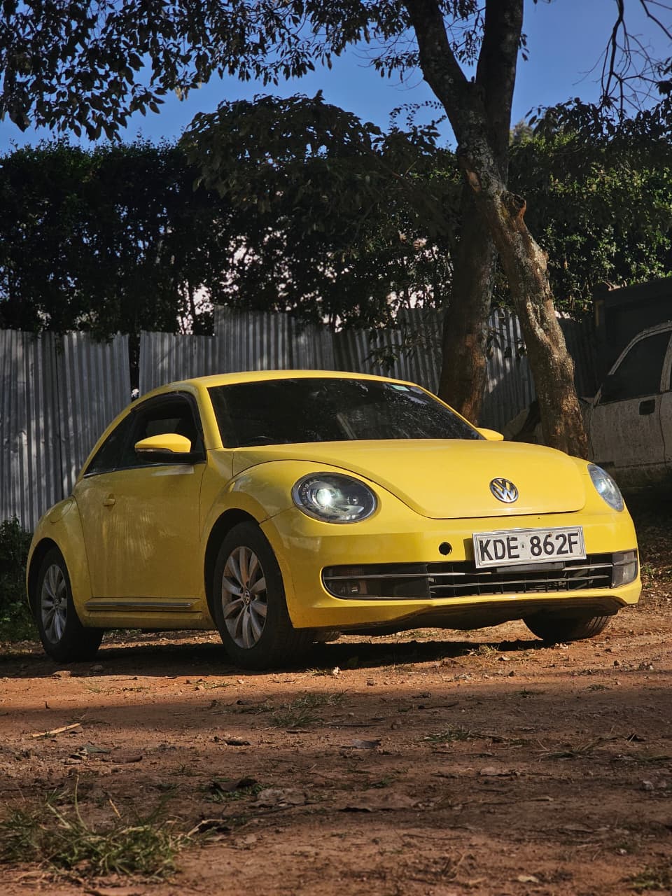 VOLKSWAGEN BEETLE
